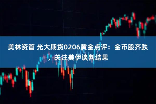 美林资管 光大期货0206黄金点评：金币股齐跌，关注美伊谈判结果