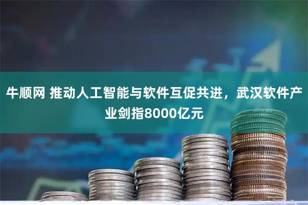牛顺网 推动人工智能与软件互促共进，武汉软件产业剑指8000亿元