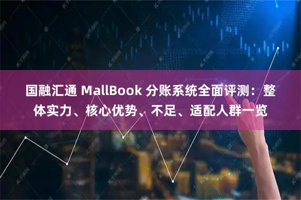国融汇通 MallBook 分账系统全面评测:整体实力、核心优势、不足、适配人群一览